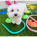 부산진유치원 이미지