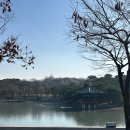 고전읽기로 생각쌓기(상반기) | 로버트 리먼 컬렉션 : 빛을 수집한 사람들, 인상주의부터 초기 모더니즘까지 (국립중앙박물관)