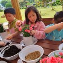 용성초교 병설유치원 이미지