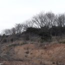 장암진성 이미지