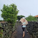 느량 | 느량:) 제주 동쪽 구좌읍 평대리 독채 펜션 숙소 추천! 대가족 아기랑 부모님이랑 가기 딱!