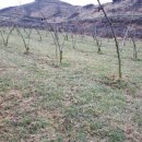 인비농장 이미지