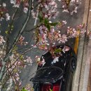 터미널세차장 이미지