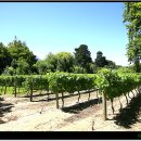 시몬농장 이미지