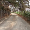 홍릉초교 이미지