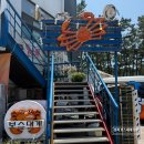 삼척보스대게 본점 | 삼척 보스대게 본점 후기｜쏠비치 근처 대게 맛집