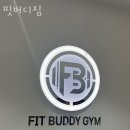 핏버디짐 이미지