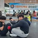 BMG 복싱 이미지