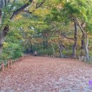 상림약수터 이미지