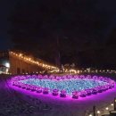 남양주 낭만등불축제 2024-2025✨ 완벽 가이드 (주차, 맛집, 카페, 숙소 총정리!)