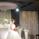 유니코리아 이미지