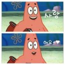 snpe체형교정 이미지