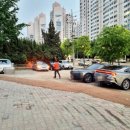 망향비빔국수 안양본점 이미지