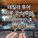 2026 월드컵 과달라하라 근교 여행! 테킬라 투어 하루 코스 후기