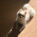 톡스미의원 이미지