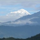 더 마차 이미지