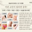 해숲