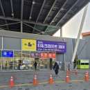 꿀뱀이 | 2026 차, 공예 박람회 후기 (SETEC)