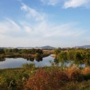 대명자원 이미지