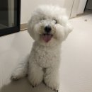 견미소 이미지
