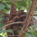 참이슬 농원 이미지