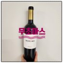 케이에스에어주 | [가성비 와인 추천] 무초마스 mucho mas 레드(+노티드 리본 쇼콜라 리스) 스페인 와인 연말 와인 추천