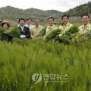 청보리축산 연합뉴스