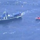 동해-단속-21 이미지