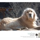 쌀라네 집 이미지