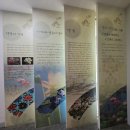 세미원 연꽃박물관 이미지