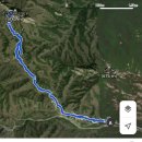 반달곰연탄구이 이미지