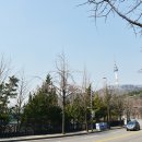 소월길커피 이미지