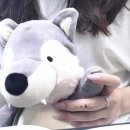 메챠쿠차 이미지