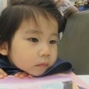하이디 뉴욕 이미지