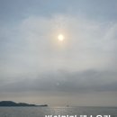 세븐일레븐 안산대부서진점 | 가는 방법, 무료 주차장 입구, 물때 보는 법 / 대부옥수수 찐빵 / 방아머리 해수욕장 / 대부도 가볼만한...