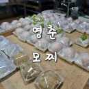 모찌가 | 대전맛집) 대전 모찌 맛집, 영춘모찌, 과일모찌가 1800원??? 내돈내산 후기