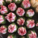 장식농장3 이미지