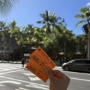 (주)렌트카코아 | 하와이 와이키키 트롤리 패스 가격 비교 및 후기