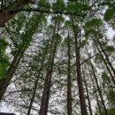 (주)힐링애드 이미지