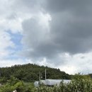 네일플로리 - 성북구 월곡로18나길 1 | 성북구 네일플로리에서 손상됐던 손톱도 예쁘게 변신
