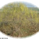 개울가 - 서산시 마애삼존불길 83 | 개울가
