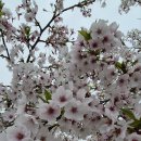 해남우리종합병원 이미지