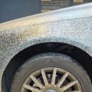 프로스팀 | 연산동스팀세차 제이디테일프로 연산점 아스팔트 얼룩 정리 후기