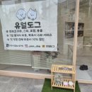 도그마트애견샵 네이버블로그