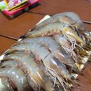 수선화펜션가족단체독채갯벌체험 | 하루는 비에 젖고, 하루는 갯벌에 빠졌다 – 태안갯벌체험 수선화펜션에 1박 2일