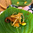 이고집쭈꾸미 | [맛집] 영등포 쭈꾸미 맛집 이고집 쭈꾸미 본점 내 돈 내산 후기