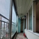 강변들보람 이미지