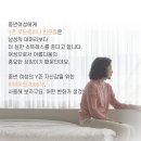 비비비원 이미지