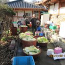 육사농장 이미지