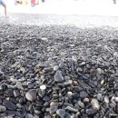 몽돌밭남쪽화장실 이미지